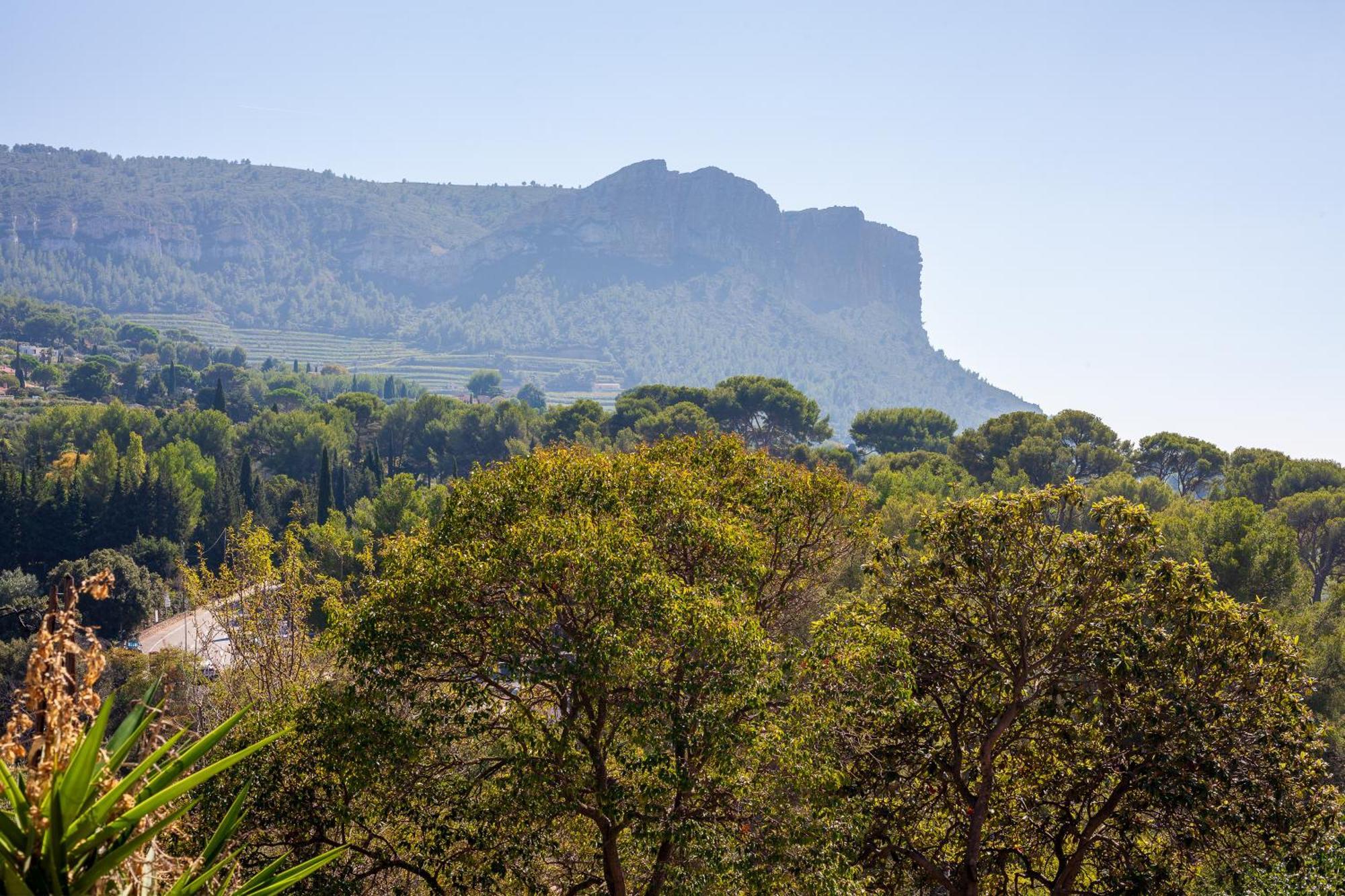 Somptueux Appartement Avec Jardin Cassis Extérieur photo